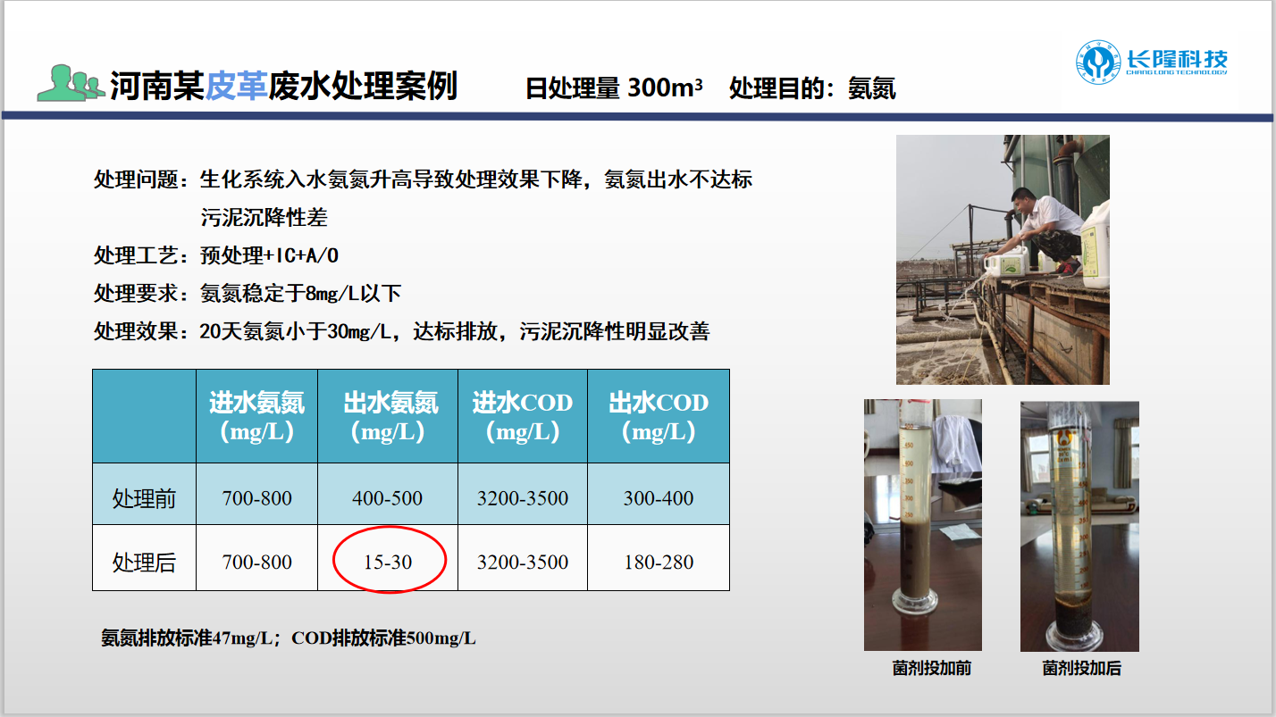 低溫氨氮菌應(yīng)用案例1